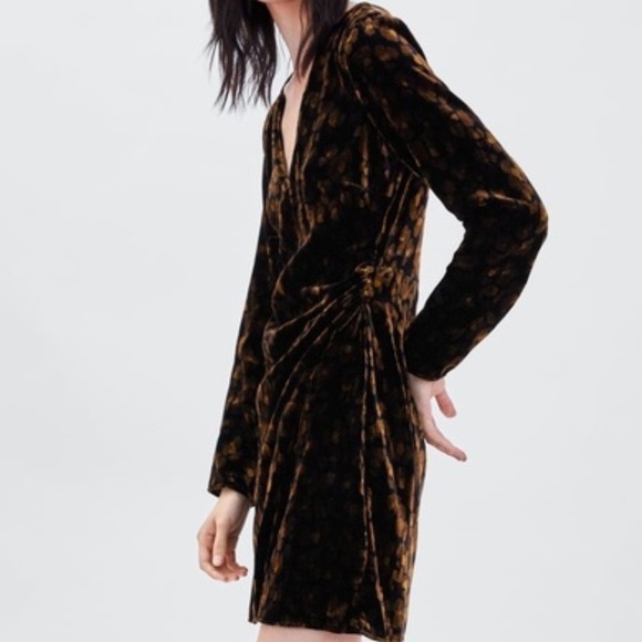 Zara Dresses & Skirts - [SOLD] Zara TRF v neck velvet leopard print dress - M